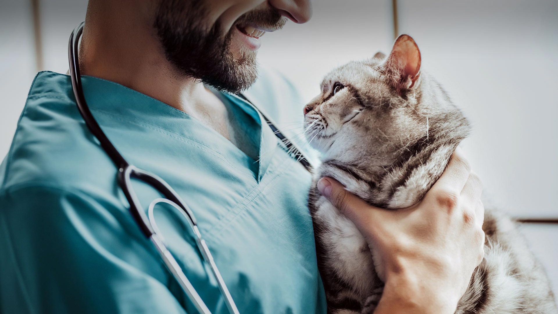 Serinhisar Veteriner